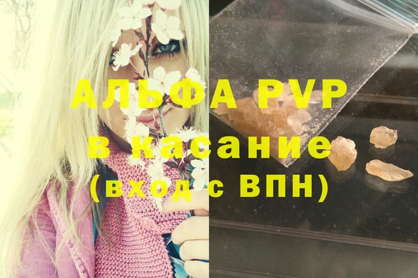 Альфа ПВП Гусев