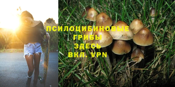 Альфа ПВП Гусев