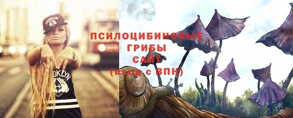 Альфа ПВП Гусев