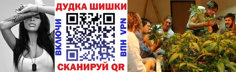 Купить  Кировск  Канабис индика 